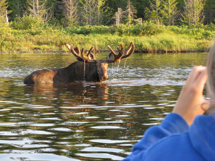 Ну что, поплыли наперегонки?