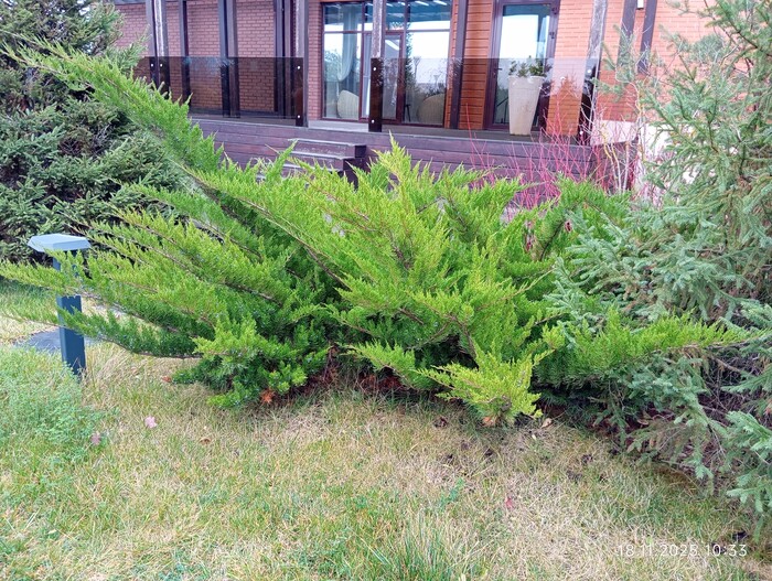 Вот мой пациент