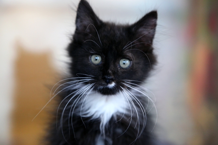  2.5 ,   , ,    ,    ,  ,  