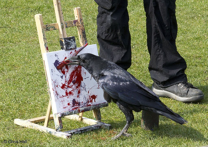 — Сейчас намазюкаю что попало, а потом глупые людишки решат, что это великое искусство, ухахаха!