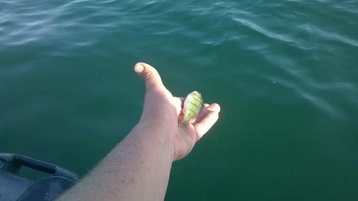 вали обратно, малыш, тебе нужно подрасти...