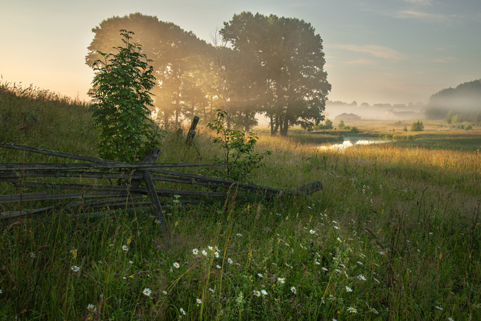 Летняя пастораль