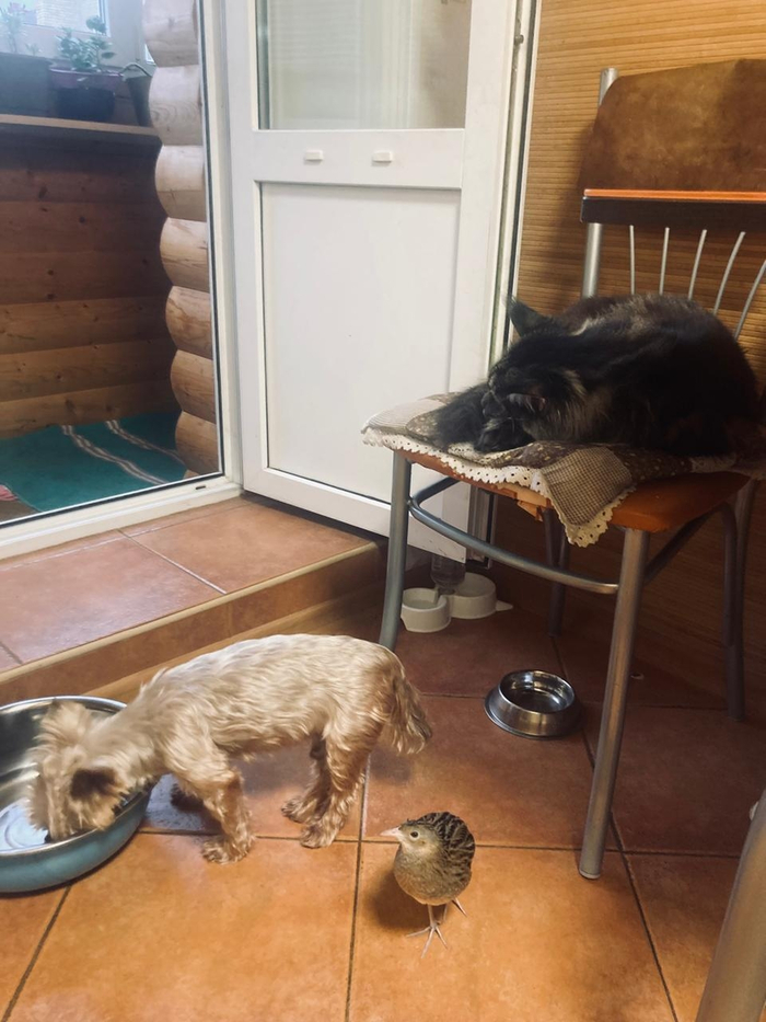 Поссорился с женой и ушел гулять с друзьями. Все мужики одинаковые!