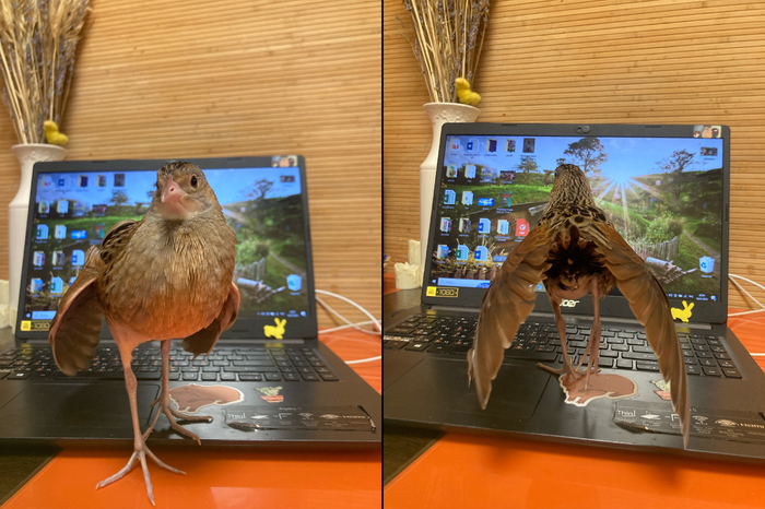 Нечего в экран смотреть, зрение портить! Лучше на меня погляди!