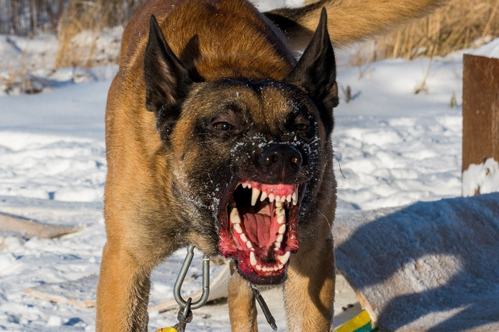 ,  ,     . ,  .    - ?