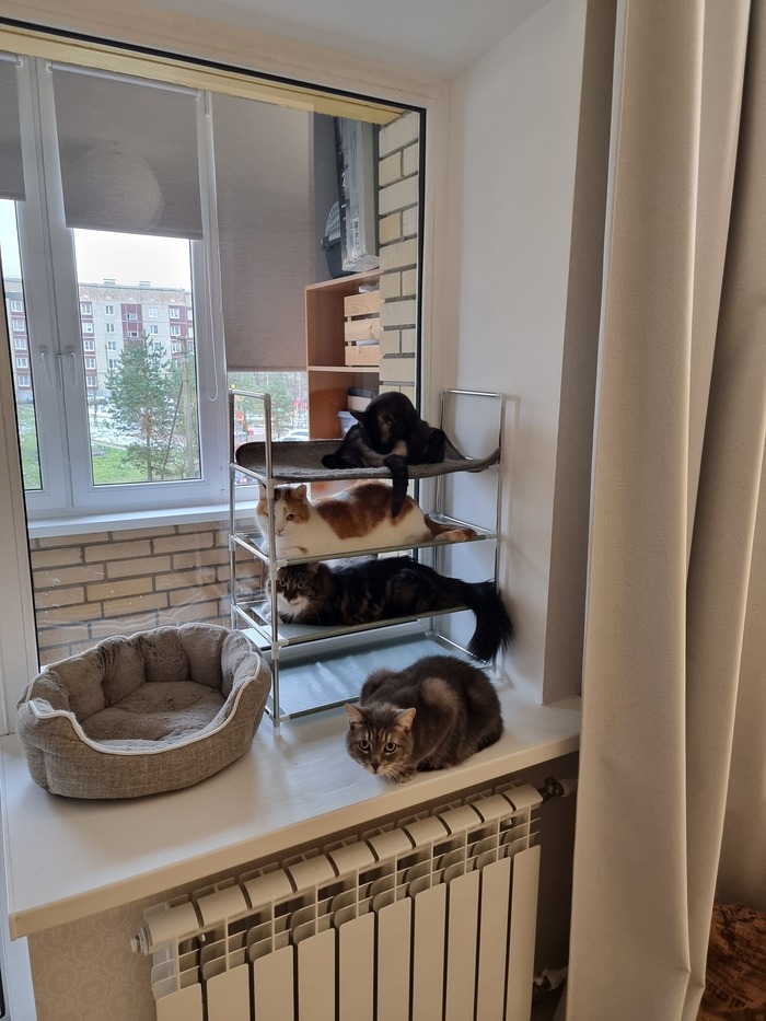 ���� � ���������)))