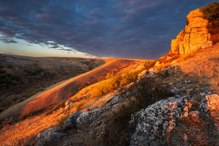 Золото Маккенны