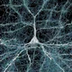 Аватар пользователя user10116245