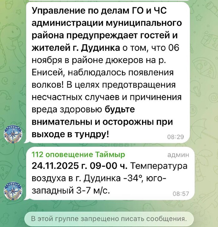 Веду ТГ блог <a href="https://pikabu.ru/story/chisto_mestnyie_kraynesevernyie_opoveshcheniya_kakto_i_gulyat_srazu_raskhotelos_ukusyat_eshche_za_bochok_13429686?u=https%3A%2F%2Ft.me%2Fdora_doraexploradora&t=%D0%94%D0%B0%D1%88%D0%B0-%D0%9F%D1%83%D1%82%D0%B5%D1%88%D0%B5%D1%81%D1%82%D0%B2%D0%B5%D0%BD%D0%BD%D0%B8%D1%86%D0%B0&h=1335e2a3f5030515a662a89a736b3466819ab472" title="https://t.me/dora_doraexploradora" target="_blank" rel="nofollow noopener">Даша-Путешественница</a> о жизни на Крайнем Севере и путешествиях.