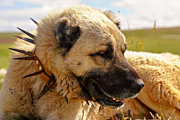      .  .         .       .