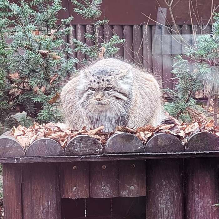 В задумчивости