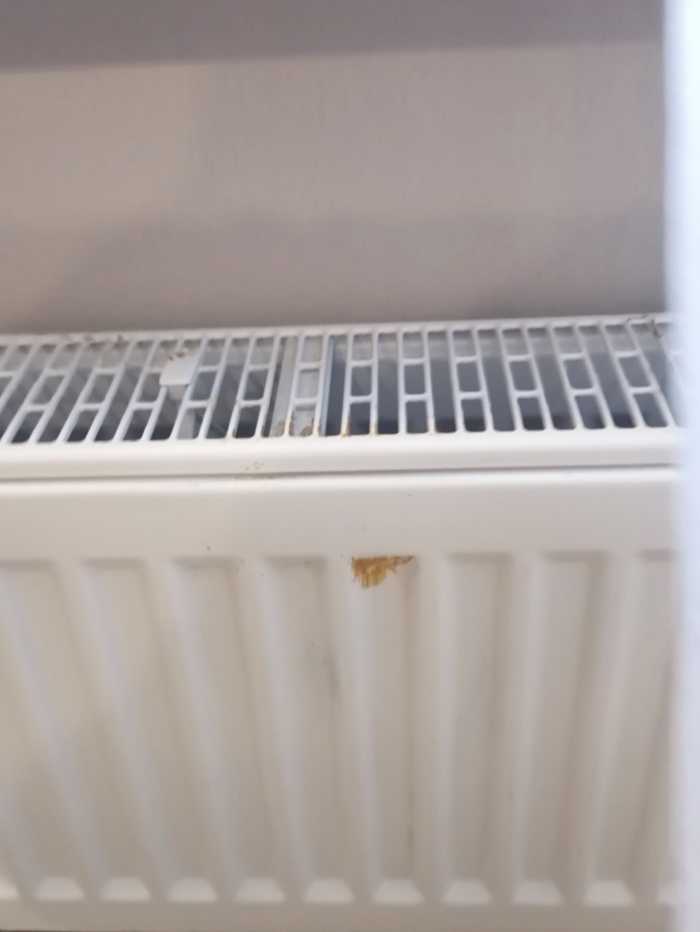 Батарея после очистки растворителем 646, оттиралось чуть-чуть.