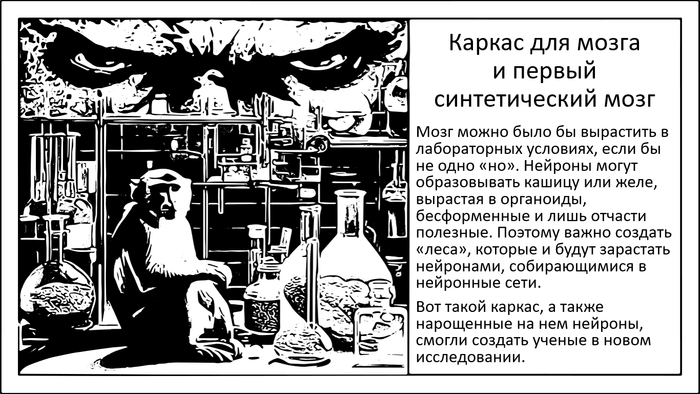 Синтетические леса для выращивания мозга