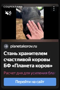 Планета коров - Корова, Веды, Донат, Упоротая лошадь