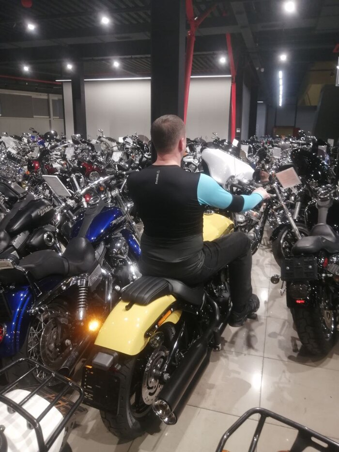 Желток или исполнение мечты