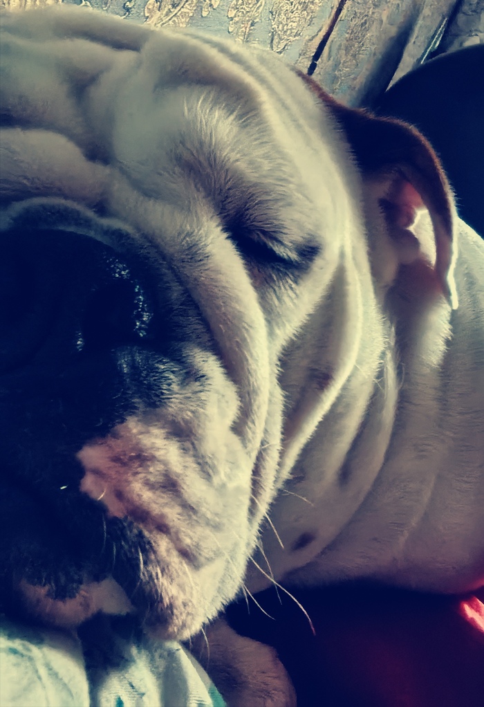 �������� 1