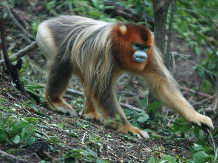 :     ,    ,   . :     .