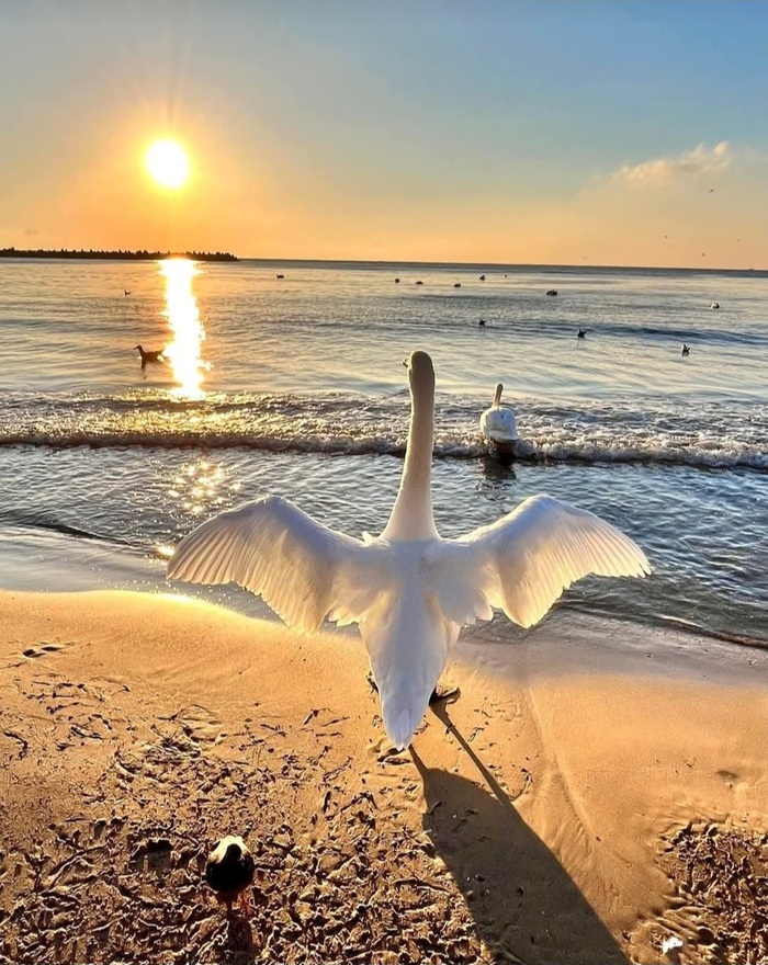  &quot;&quot;:    =   (    )