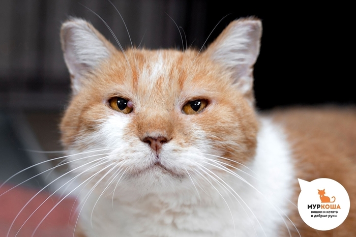  , 7 ,   .  .        - .  ,              .