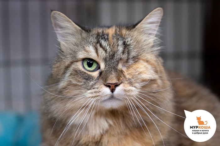  , 10 ,     .         .