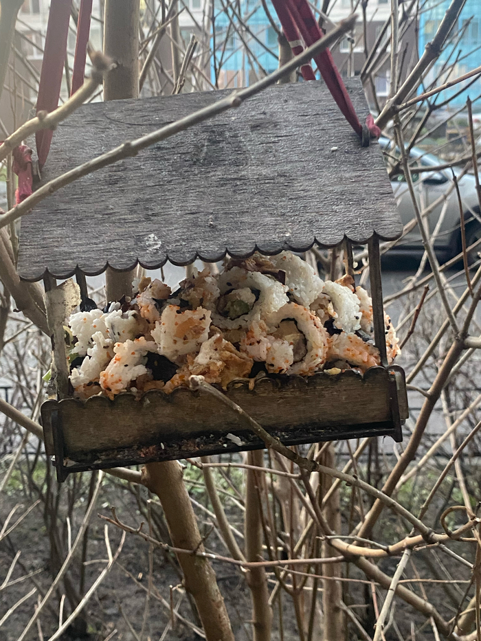 Ответ на пост «Снегопад в Петербурге»