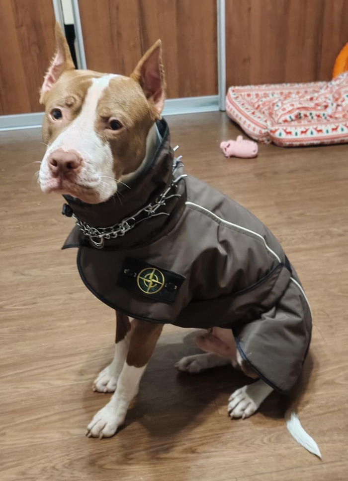    &quot;,   ,   &quot;