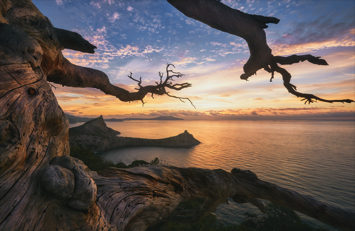 Капчик на рассвете