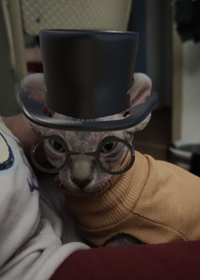 Кот Финик в шляпе