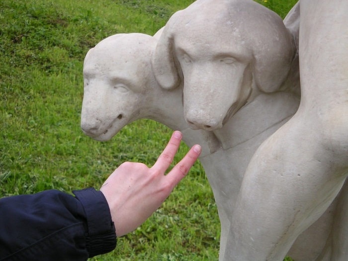 Ответ на пост «Фотки голых попцов молодых (и не очень) девиц набирают тысячи плюсцов»