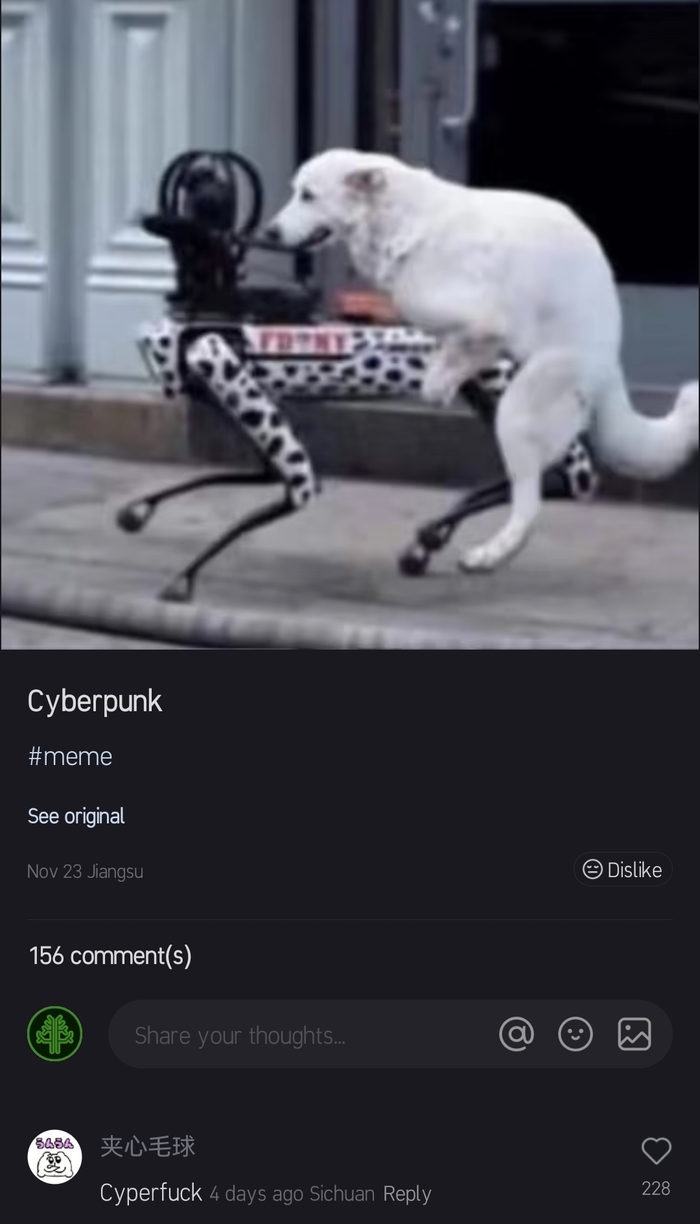 Cyberfuck