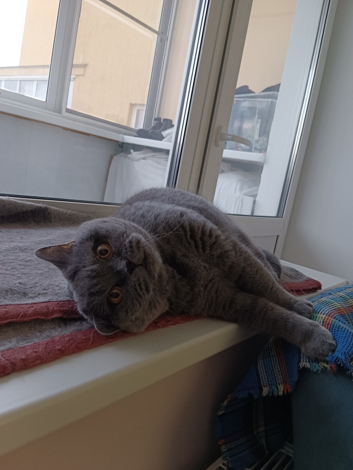    &quot;,   ,   &quot;