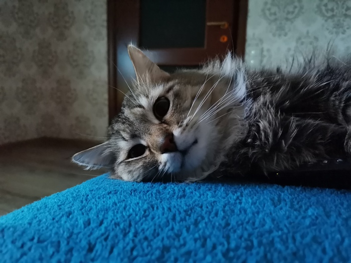    &quot;,   ,   &quot;