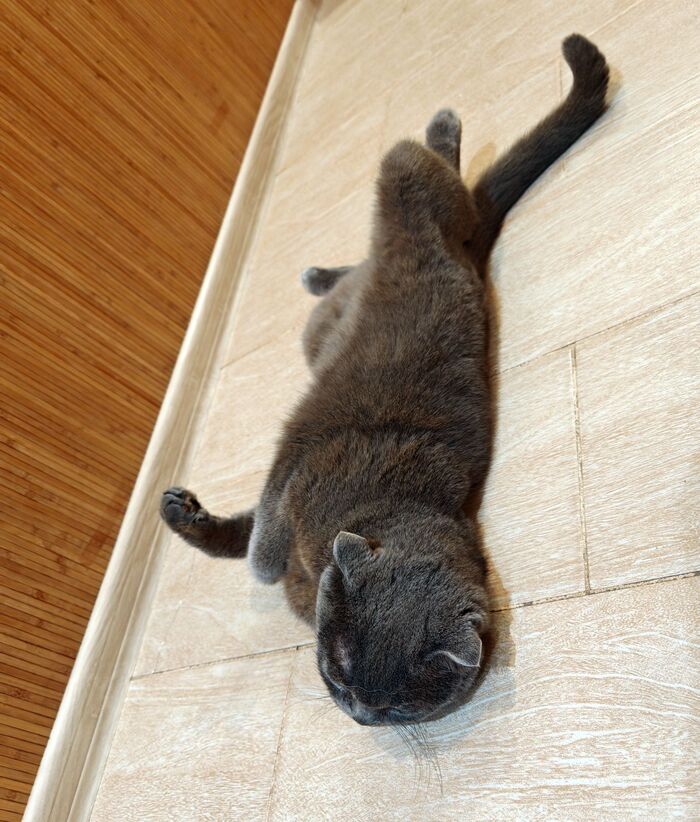    &quot;,   ,   &quot;