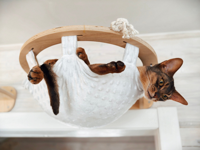    &quot;,   ,   &quot;