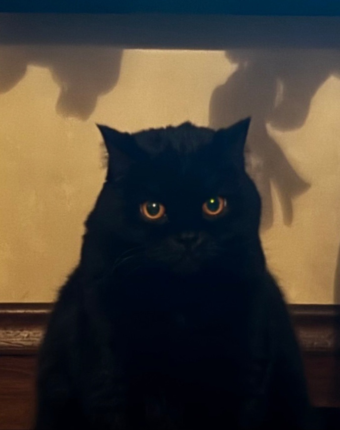    &quot;,   ,   &quot;