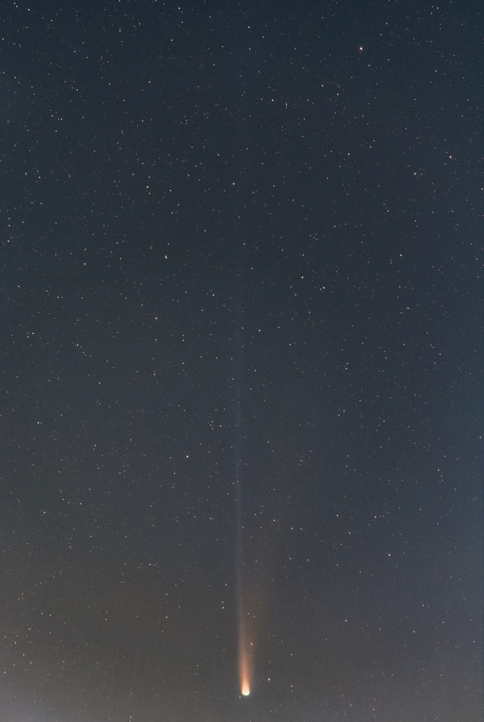    /2025 A6 Lemmon.  30        60% 