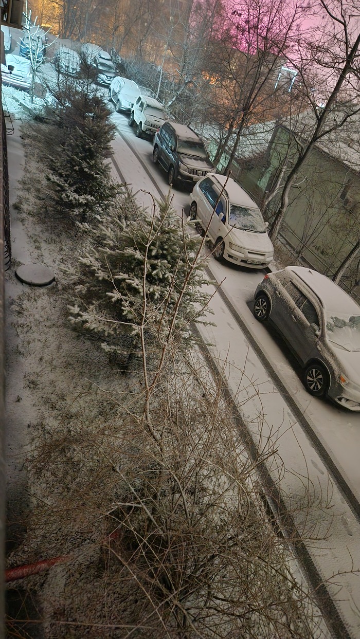 Владивосток 27.11.2025