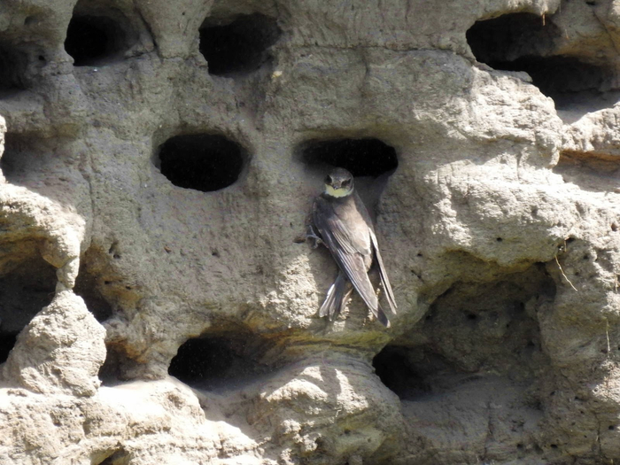 Интересно, как понять, где именно ТВОЯ квартира среди многих сотен дырочек?