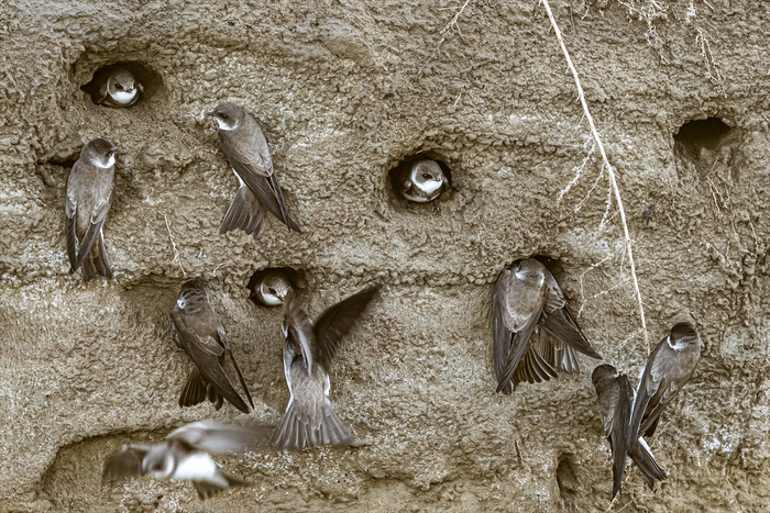 А у людей такая нора будет стоить пару миллионов!