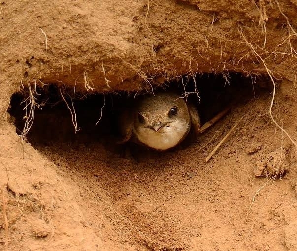 Когда кто-то стучит в дверь, но тебе страшно подходить к глазку. Ведь тебе всего 30 годиков и мамы нет дома.