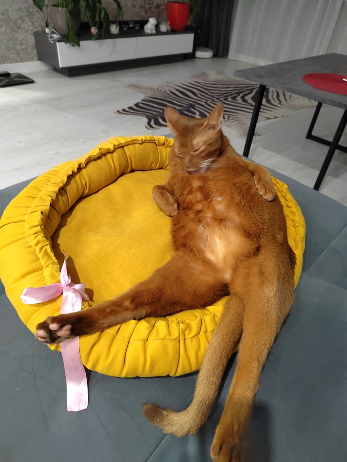    &quot;,   ,   &quot;