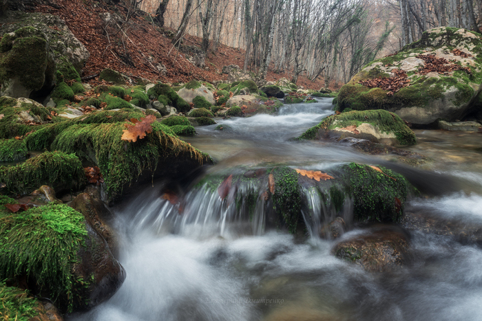Поздняя осень в Большом каньоне