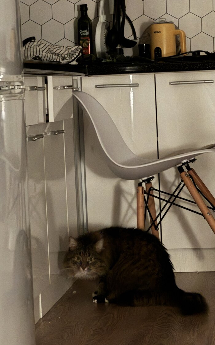 <!--noindex--><a href="https://pikabu.ru/story/ugnetaet_kotiy_narod_13443032?u=https%3A%2F%2Fx.com%2Fpiypiy32%2Fstatus%2F1994256373832380529&t=https%3A%2F%2Fx.com%2Fpiypiy32%2Fstatus%2F1994256373832380529&h=3b3dac9cbd9ff1cff9dd877dc3f208b3fb0018c6" title="https://x.com/piypiy32/status/1994256373832380529" target="_blank" rel="nofollow noopener">https://x.com/piypiy32/status/1994256373832380529</a><!--/noindex-->