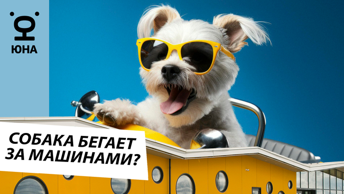 ��� ������� ������ �������� �� ��������?