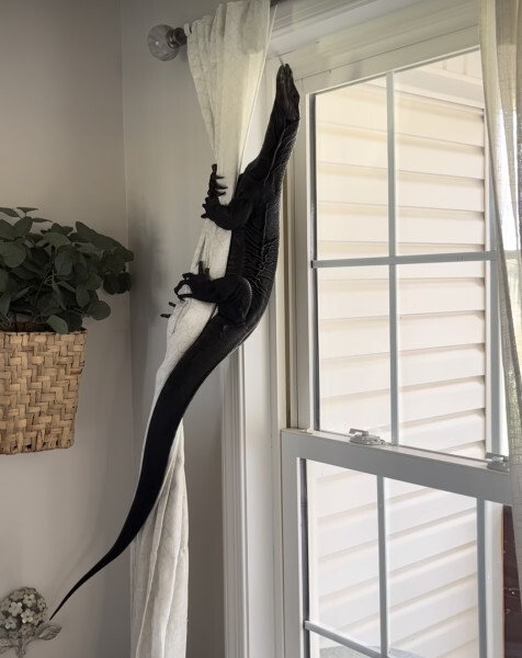    &quot;,   ,   &quot;