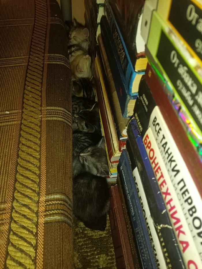    &quot;,   ,   &quot;