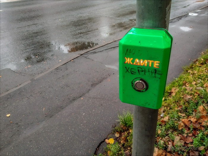 Все мы немного Незнайка