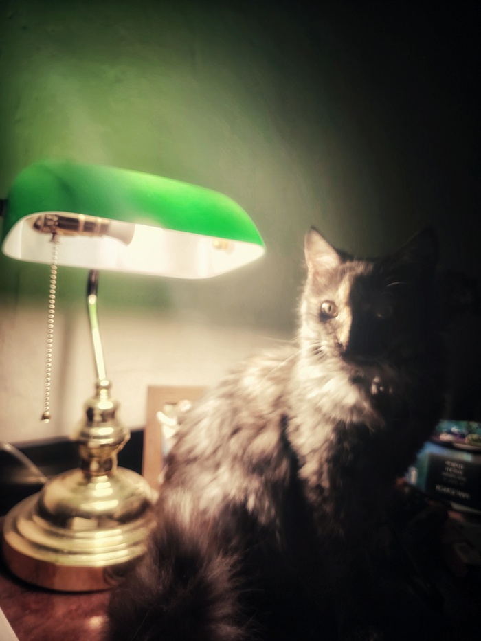    &quot;,   ,   &quot;