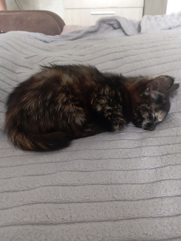 Вот такая была.