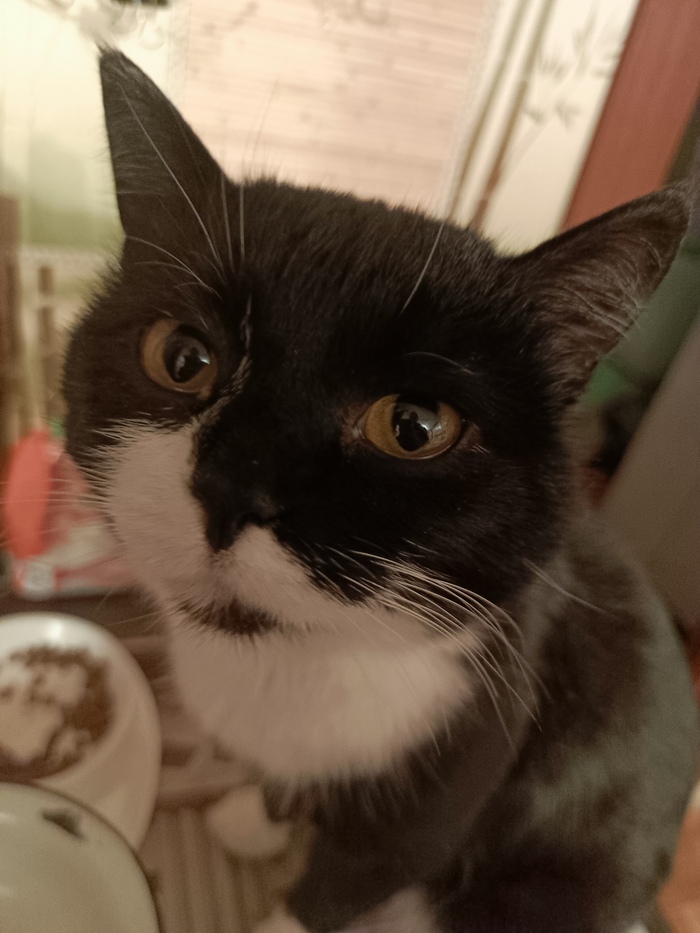  Crazybasil  &quot;,   ,   &quot;